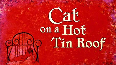 Pick of the Day 5/1: Cat on a Hot Tin Roof