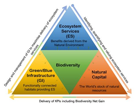 Natural Capital & Biodiversity - Temple