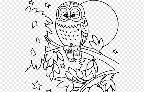 Snowy owl Buku mewarnai, burung hantu, putih, anak, hewan png | PNGWing