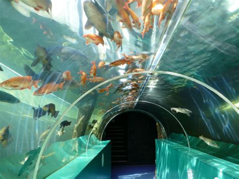 Lakes Aquarium | Attractions Near Me