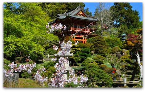 Japanese Tea Garden San Francisco | Golden Gate Park