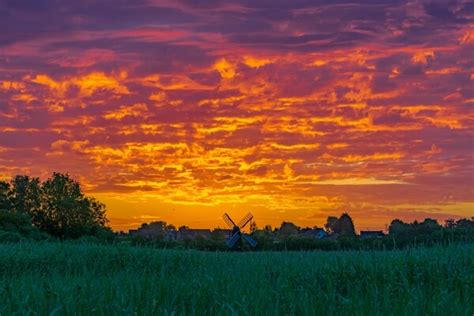 Wicken Fen photo spot, Wicken