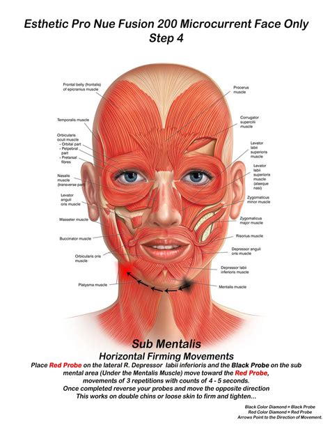 Botox Injection Sites Face Diagram — UNTPIKAPPS
