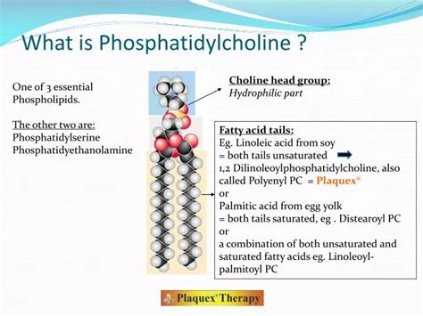 PPT - What is Phosphatidylcholine ? PowerPoint Presentation, free download - ID:2043464