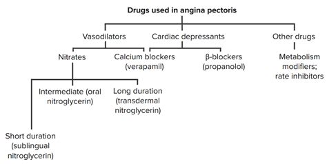 Vasodilators: Calcium Channel Blockers, Nitrodilators and More