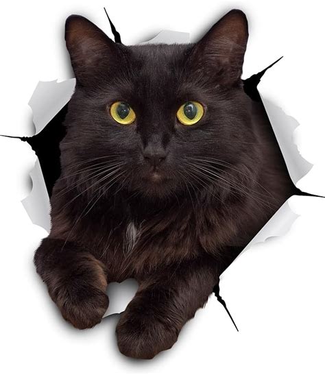 Winston & Bear 3D Cat Stickers - 2 Pack - Black Cat Wall Decals - Cat ...