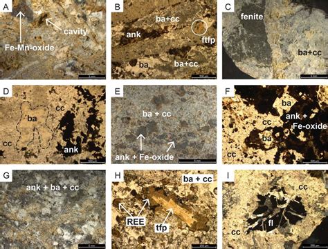 Mineralogy and petrology of representative ankerite-barite carbonatite... | Download Scientific ...