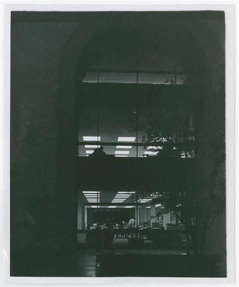 [Exterior window of Willis Library] - The Portal to Texas History