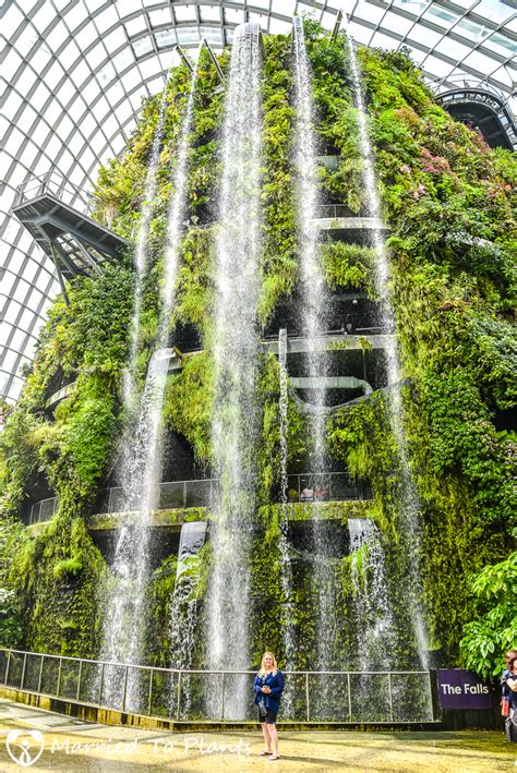 Tour of Gardens by the Bay in Singapore