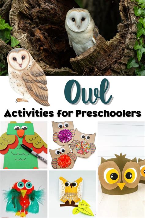 Fun Owl Activities for Preschoolers - Rainy Day Mum