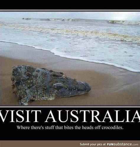 an alligator is laying on the beach with its head in the sand and it's caption, visit australia ...