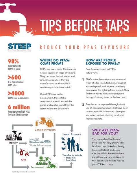 Tips Before Taps — Reduce Your PFAS Exposure – STEEP