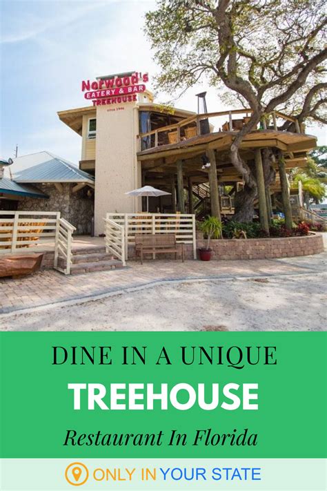 Norwood's Is A Massive Tree House In Florida That Is Actually A Restaurant And You Need To Visit ...