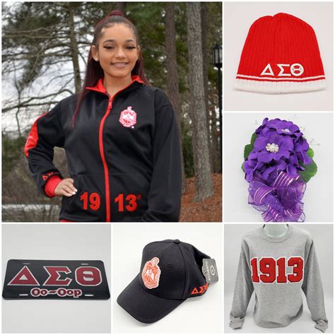 Delta Sigma Theta Shirts, Jackets, Umbrellas, & Accessories | DST Collection