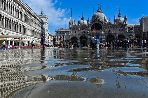 Venice recruits next generation in flooding fight - Environment - The ...