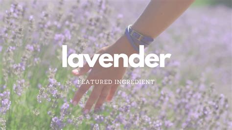 Transform Your Skin with the Anti-Inflammatory Properties of Lavender ...