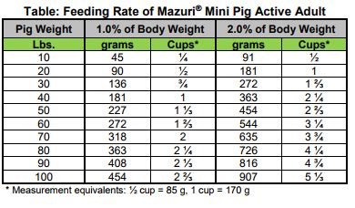 Guide to Feeding Mini Pigs - Life with Pigs Farm Animal Sanctuary