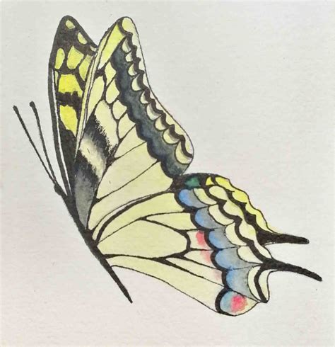 a drawing of a yellow and black butterfly