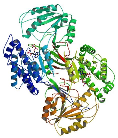 Enzyme Activity Measurement for Aldehyde Dehydrogenase [NAD(P)+]