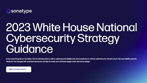 National Cybersecurity Strategy: What You Should Know | Sonatype