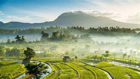 Indonesia Travel Insurance - Required Visitors Coverage