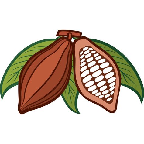 Cacao clipart 20 free Cliparts | Download images on Clipground 2024