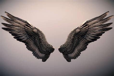 Fallen Angel Wings