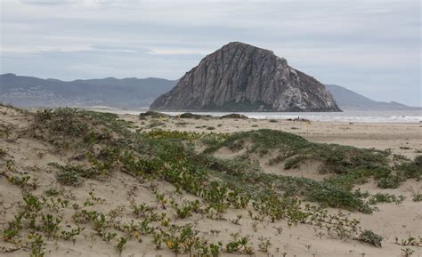 Morro Strand State Beach in Morro Bay, CA - California Beaches