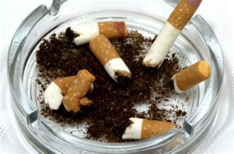 Foodista | Edible Cigarette Butts, Cancer Lung Cookies, Edible Ash ...