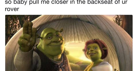 Shrek Memes For Kids