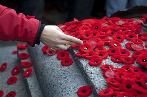 Why We Wear Poppies On Remembrance Day | HuffPost Australia