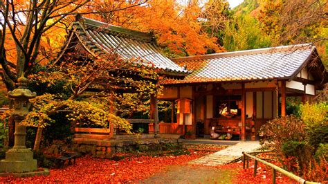 Fall Foliage in Japan - Yumi To Lesson.com