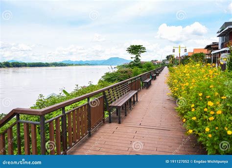 Wooden Bench Riverside Walkway Park with Yellow Flower and Blue Sky ...