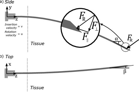 Depiction of a bevel-tipped needle with views from the a) side and b)... | Download Scientific ...