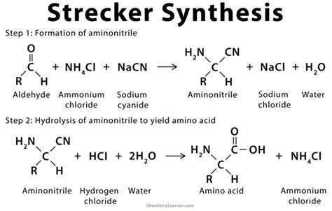 Strecker Synthesis: Definition, Example, and Mechanism