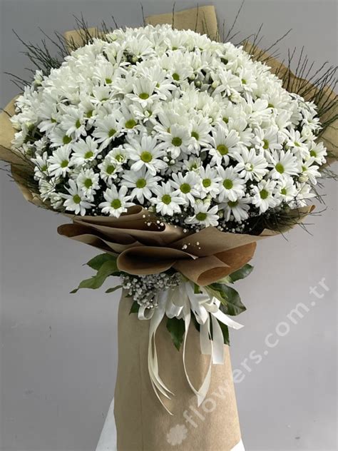 Huge Bouquet of Daisies