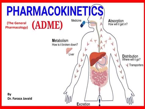 Absorption Pharmacokinetics.pptx