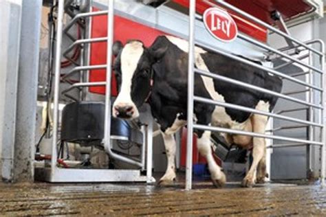 Lely Astronaut A4 milking robot lets cows milk themselves