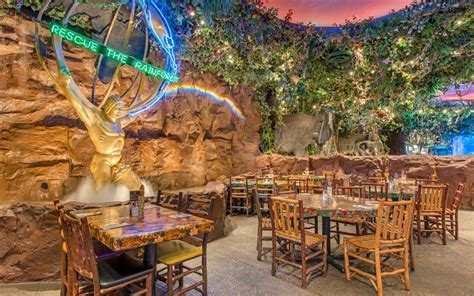 Rainforest Cafe at Disney Springs™ | Lake Buena Vista, FL | 50770