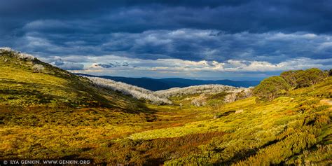 Alpine National Park at Dramatic Sunset Photos, Falls Creek, Victoria, Australia Print | Fine ...