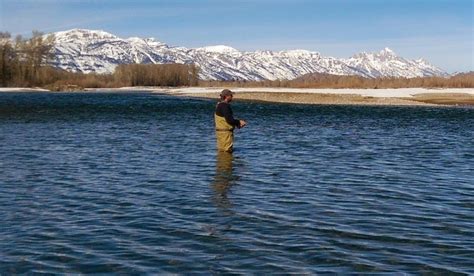 Jackson Hole Fly Fishing - Guides report 2.14.15 - Jackson Hole Wyoming ...