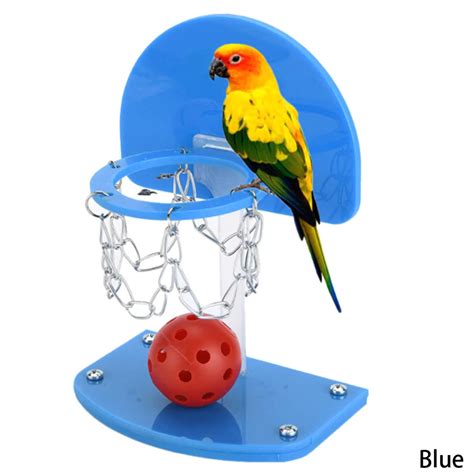 Hot Sale Size S / L Plastic Mini Basketball Pet Bird Parrot Toys Toy ...