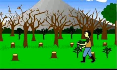 Gambar Kartun Hutan Gundul - 53+ Koleksi Gambar