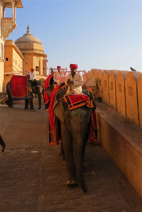 Amber Fort - Elephants walking up to the Amber Fort. | Elephant ride, Elephant walk, India ...