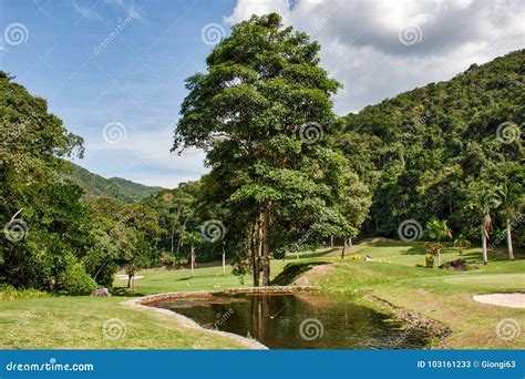 Nature Photography, Relaxing in Venezuela. Stock Image - Image of hotel, adventure: 103161233