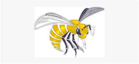 Alabama,state,hornets - Alabama State Hornets Logo - Free Transparent PNG Download - PNGkey