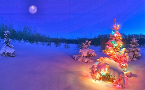 🔥 Download Snowy Night Background HD Wallpaper by @nicolem37 | Night ...