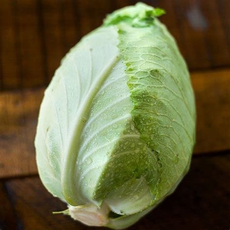 Cabbage Seeds - "Charleston Wakefield" in 2020 | Cabbage, Cabbage seeds ...