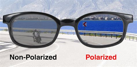 Gafas No Polarizadas | ocimumglobal.com