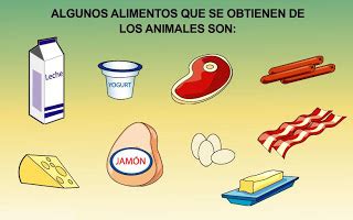 Ejemplos alimentos de origen animal